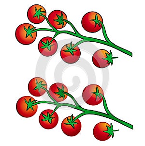 Vite tomato photo