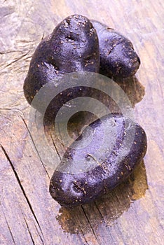 Vitelotte blue-violet potato (Solanum Ãâ ajanhuiri Vitelotte Noir) photo