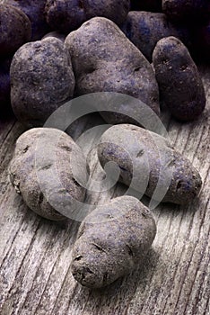 Vitelotte blue-violet potato (Solanum Ã— ajanhuiri Vitelotte Noir)