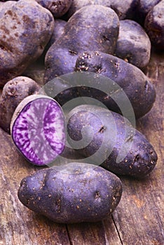 Vitelotte blue-violet potato (Solanum Ã— ajanhuiri Vitelotte Noir)