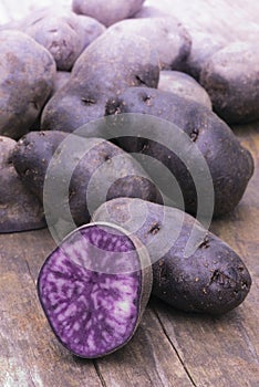 Vitelotte blue-violet potato (Solanum Ã— ajanhuiri Vitelotte Noir)