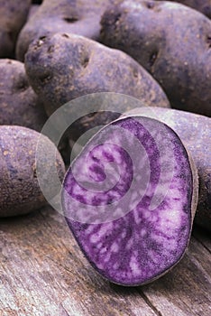 Vitelotte blue-violet potato (Solanum Ã— ajanhuiri Vitelotte Noir)