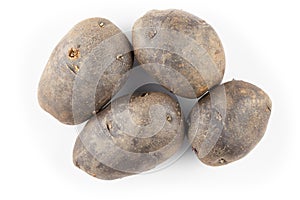 Vitelotte potatoes. Raw unpeeled purple potatoes isolated on white background, full depth of field