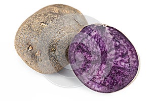 Vitelotte potatoes. Raw unpeeled purple potatoes isolated on white background, full depth of field
