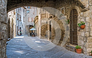 The picturesque San Pellegrino medieval district in Viterbo, Lazio, central Italy. photo