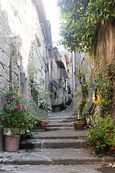 Viterbo, medieval town