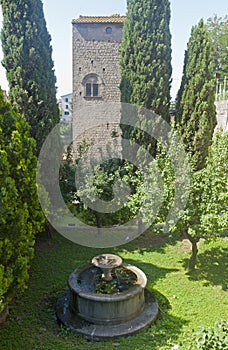 Viterbo, old well and garden