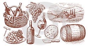 Viticulture concept vintage illustration. Collection of hand drawn sketches. Wine set photo