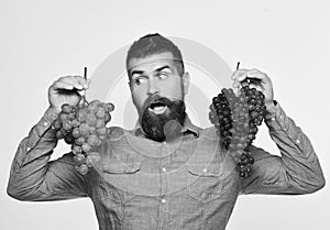 Viticulture and gardening concept. Winegrower with surprised face