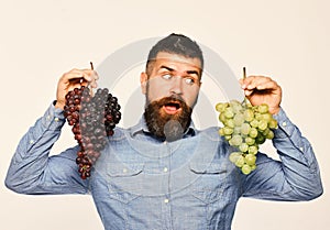 Viticulture and gardening concept. Winegrower with surprised face