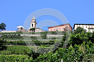 Viticulture near Cembra in the Dolomites of Italy photo