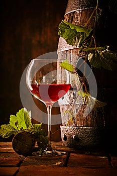 Viticulture and oenology concept with red wine