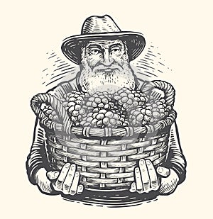 Farmer with a basket of grapes drawn in vintage engraving style. Viticulture, vineyard sketch. Vector illustration photo