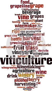 Viticulture word cloud