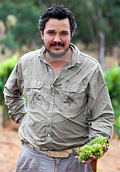 Viticulturist holds Chardonnay grapes in South Australia