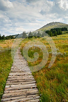 Vitosha mountain