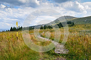 Vitosha mountain photo