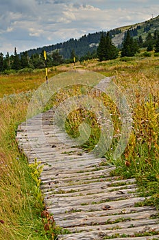 Vitosha mountain photo