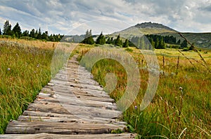 Vitosha mountain photo