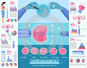 In Vitro Fertilization Flat Infographic Template photo