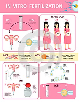 In Vitro Fertilization Infographic Concept