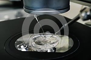 In vitro fertilization process close up. Equipment on laboratory of Fertilization, IVF.