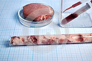 In Vitro Meat Imitation for Vegans - Photo on Graph Paper