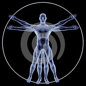 Vitruvian photo