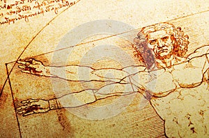 Vitruvian Man