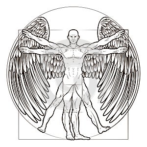 Vitruvian Man Angel photo