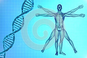 Vitruvian man with DNA