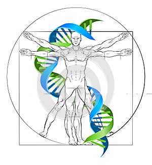 Vitruvian Man DNA photo