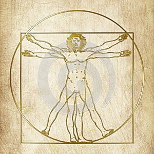 Vitruvian man, Leonardo Da Vinci, graphic elaboration