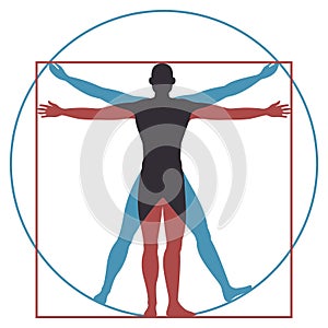 Vitruvian man. Leonardo da vinci human body perfect anatomy proportions in circle and square. Vector silhouette