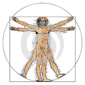 Vitruvian Man by Leonardo Da Vinci