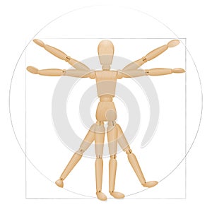 Vitruvian Mannequin Wooden Figure