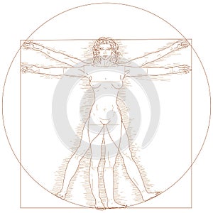 Vitruvian woman photo