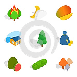 Vivacity icons set, isometric style