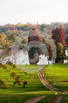 Vivid autumn colors in Tineretului Park from Bucharest City