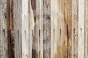 Vivid background of wooden boards