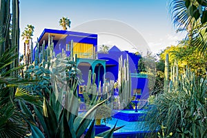 Vivid blue building and garden of captus and exotic plants. Majorelle Garden. Concept of travel and architecture. Marrakech, photo