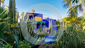 Vivid blue building and garden of captus and exotic plants. Majorelle Garden. Concept of travel and architecture. Marrakech,