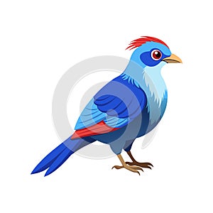 Vivid Blue-Faced Malkoha Bird Design