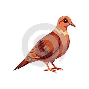 Vivid Cinnamon Ground Dove Bird Design
