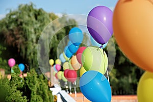 Vivid color balloons on green outdoor background