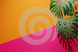 Vivid colorful summer background with monstera leaf. Vibrant orange and pink color studio scene with geometry shape and palm for