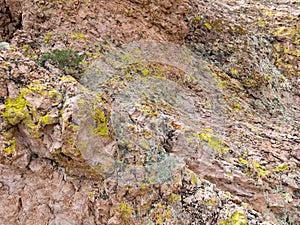 Desert rock colors, Mount Nutt Wilderness