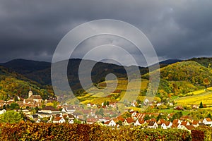 Vivid colors of autumn vineyards in Andlau, Alsace