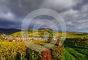 Vivid colors of autumn vineyards in Andlau, Alsace photo