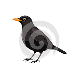 Vivid Common Blackbird Bird Design